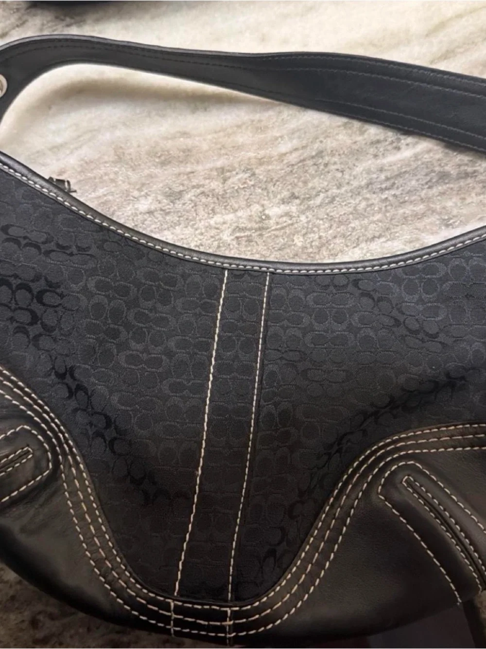 Coach hobo silhouette